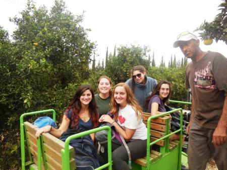 AMHSI Fall semester 2014 participants