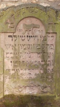 Tombstone in Frankfurt cemetary of a member of the Rothschild family (Kalman Rothschild); photo by Rhonda Spivak.