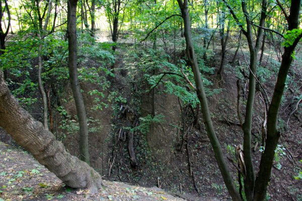 Babi Yar ravine today