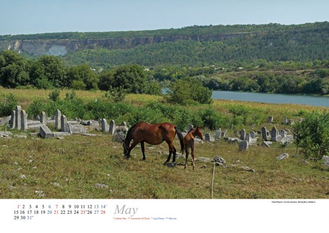 Vadul-Ra?cov Jewish cemetery, Bessarabia; photo by Christian Hermann.
