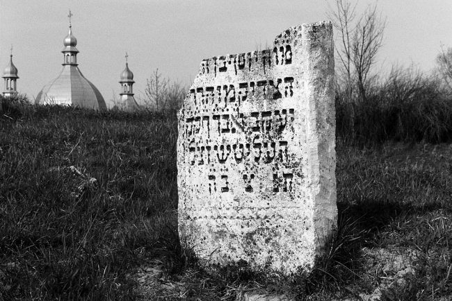 Rohatyn, Jewish cemetery, April 2013; photo by Christian Hermann.