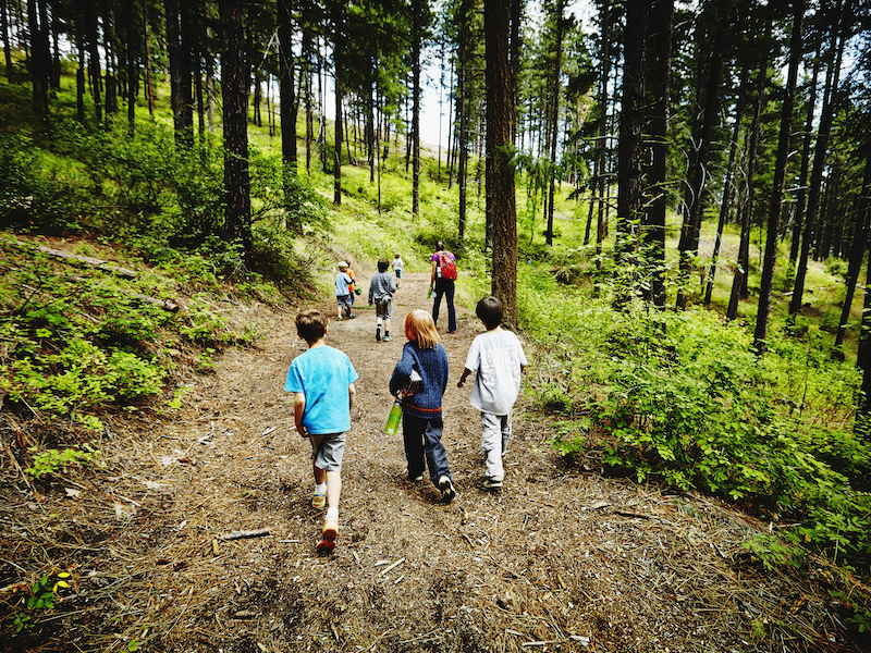 A group of kids walks on a trail at summer camp.