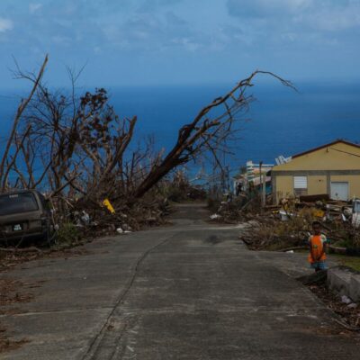 Destroyed trees line a road leading past a yellow house and extending toward the blue ocean on the Caribbean island of Dominica. Photo by Oren Biran