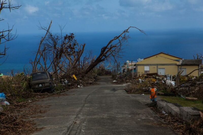 Destroyed trees line a road leading past a yellow house and extending toward the blue ocean on the Caribbean island of Dominica. Photo by Oren Biran