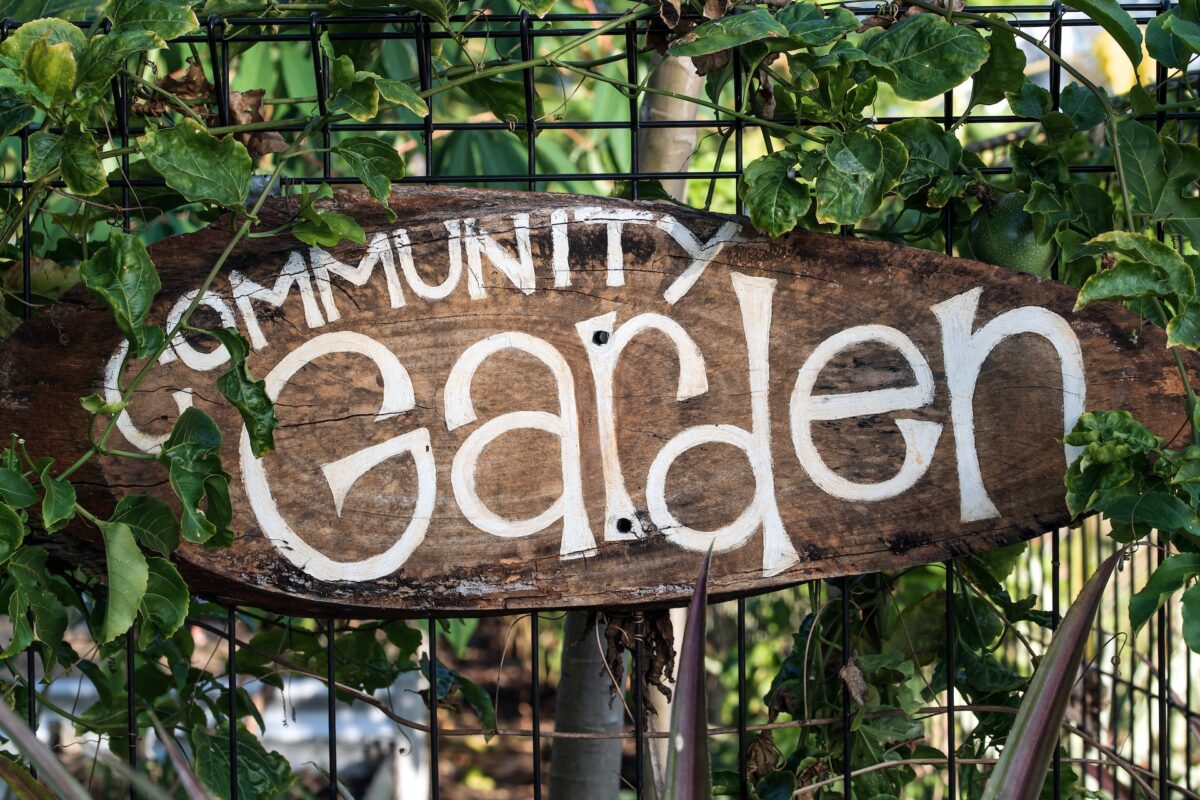 Wooden sign with the words Community Garden in white writing.